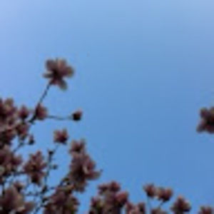 Meet your Posher, Ling